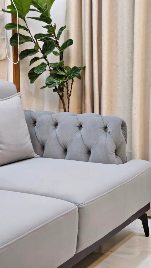 Grey tufted sofa with a dark timber base beside indoor plants